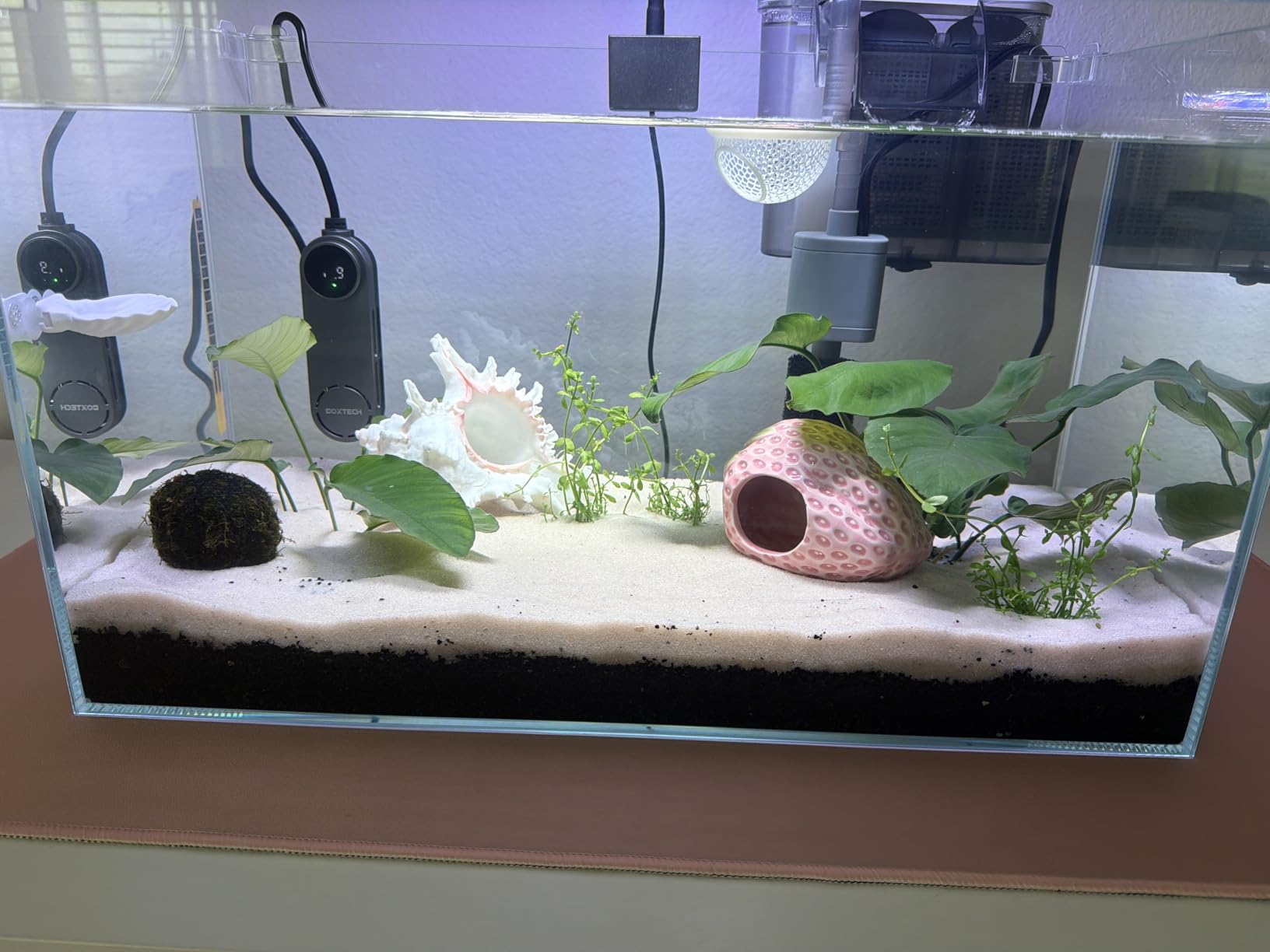 Vimvins 3 Gallon Glass Small Fish Tank, Betta Fish Tank Starter Kit with Filter, Lights,Lid. customer photo 2