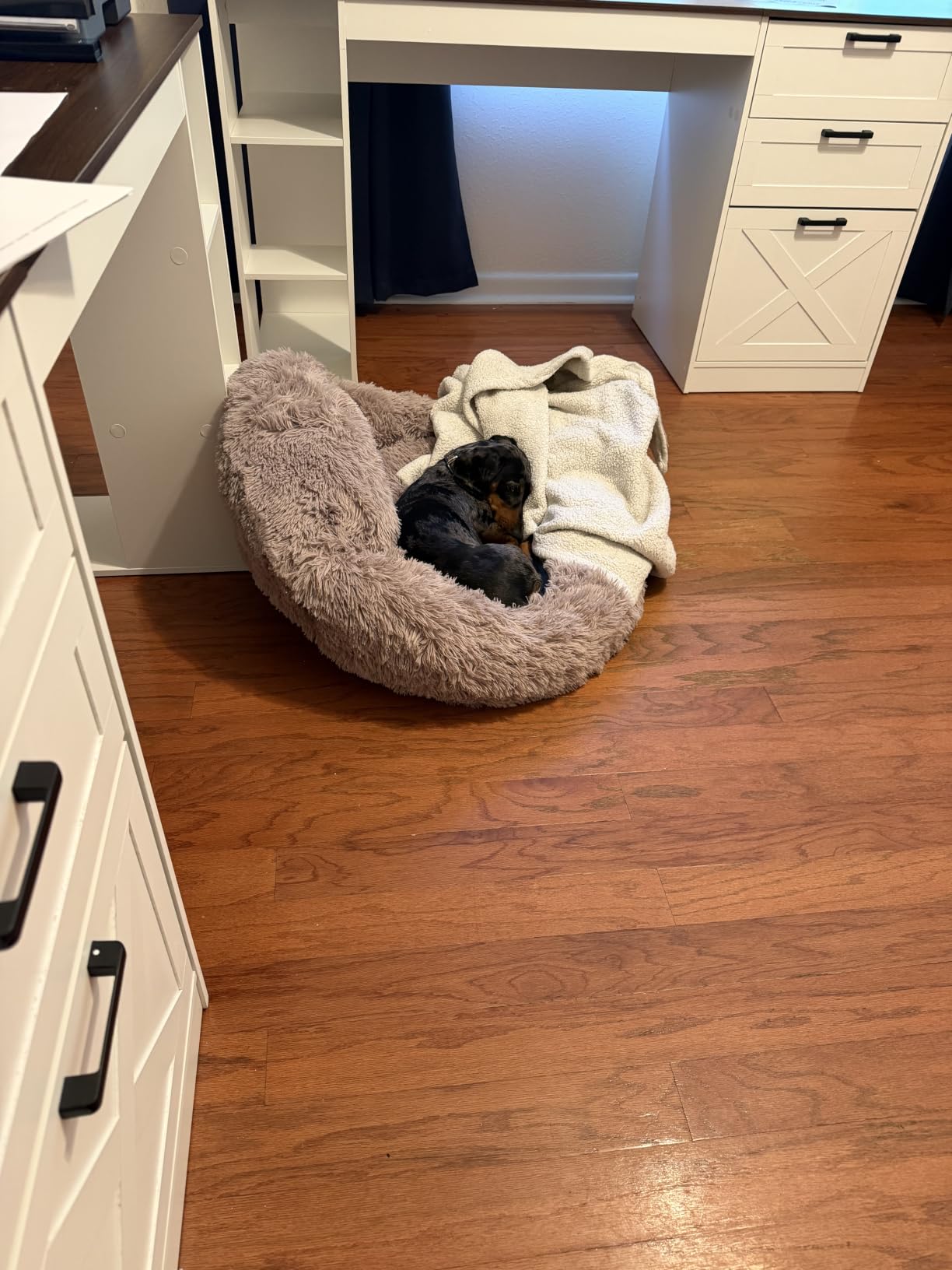 PetJett Calming Medium Dog Bed - 30'' Round Dog Beds - Washable Dog Bed - Anti-Slip Super Soft Fluffy Plush Donut Bed, Anti-Anxiety Premium Comfort Pet Bed, Fits Dogs up to 45 lbs - Beige customer photo 2