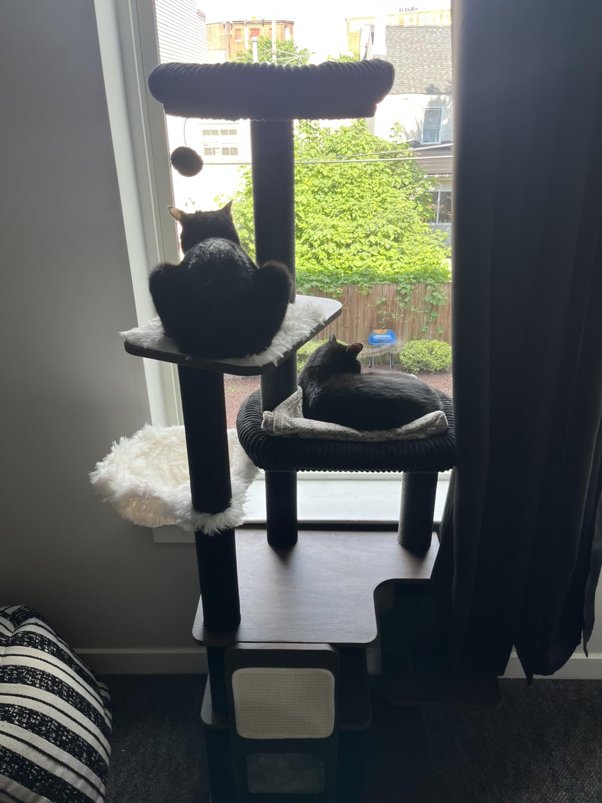Wood Cat Tree for Indoor Cats, Modern Cat Tower with Sisal Scratching Posts customer photo 1