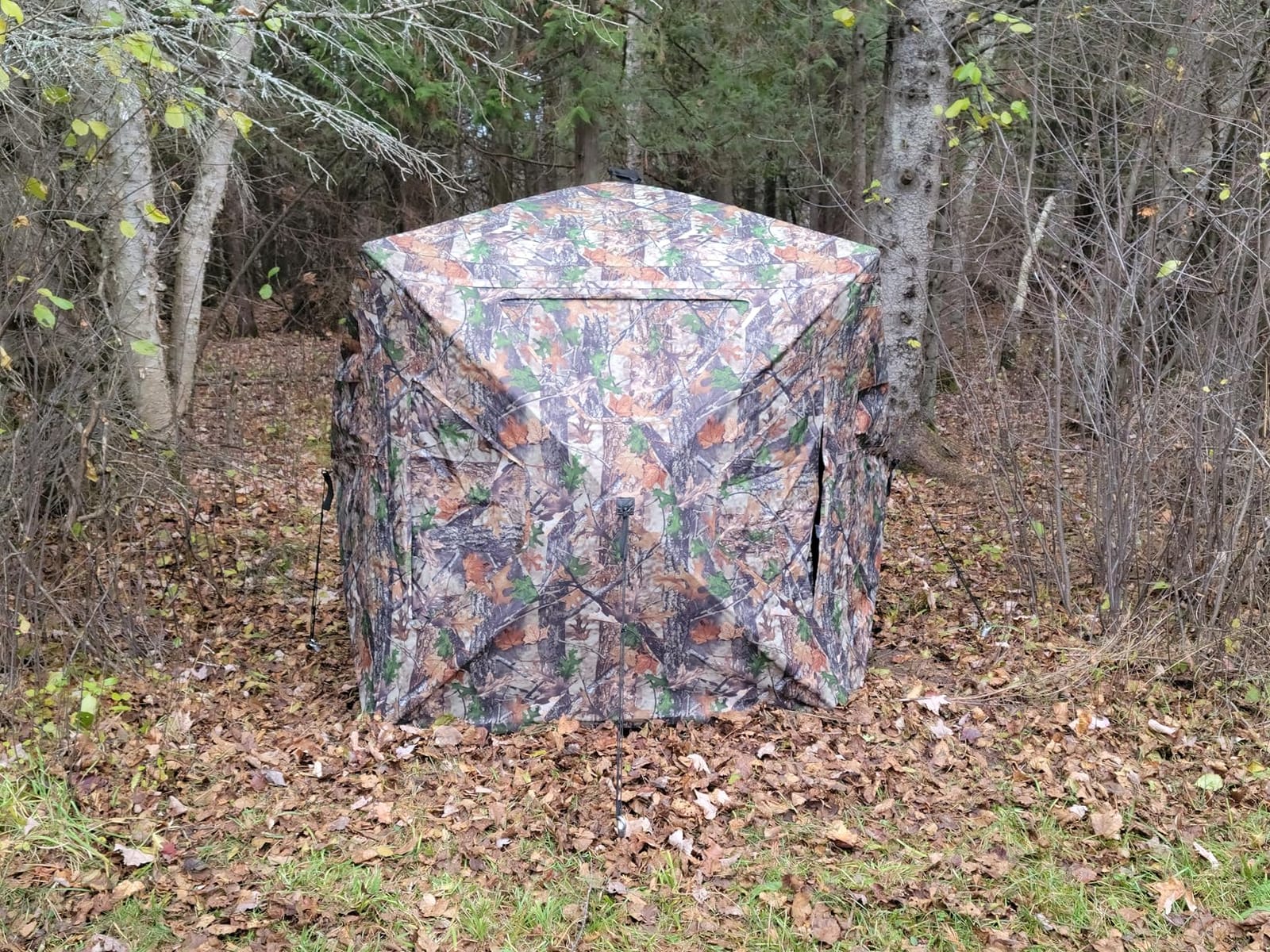 TIDEWE Hunting Blind 270°Full See Through with Windproof Curtain, Silent Magnetic Door & Sliding Windows, Pop Up Ground Blind with Carrying Bag, 300D Portable Tent customer photo 1