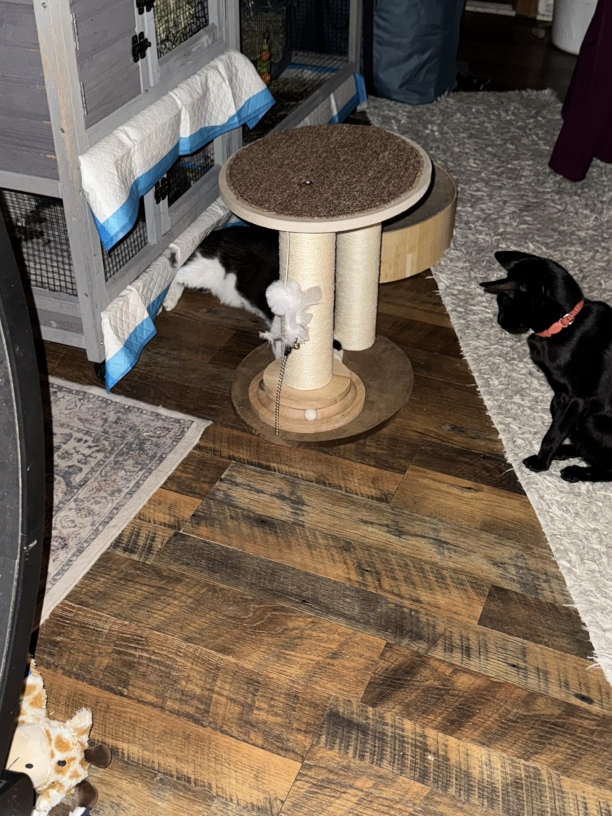 Modern Cat Tree for Indoor Cats, 30 in Cat Tower with Basket Bed customer photo 1