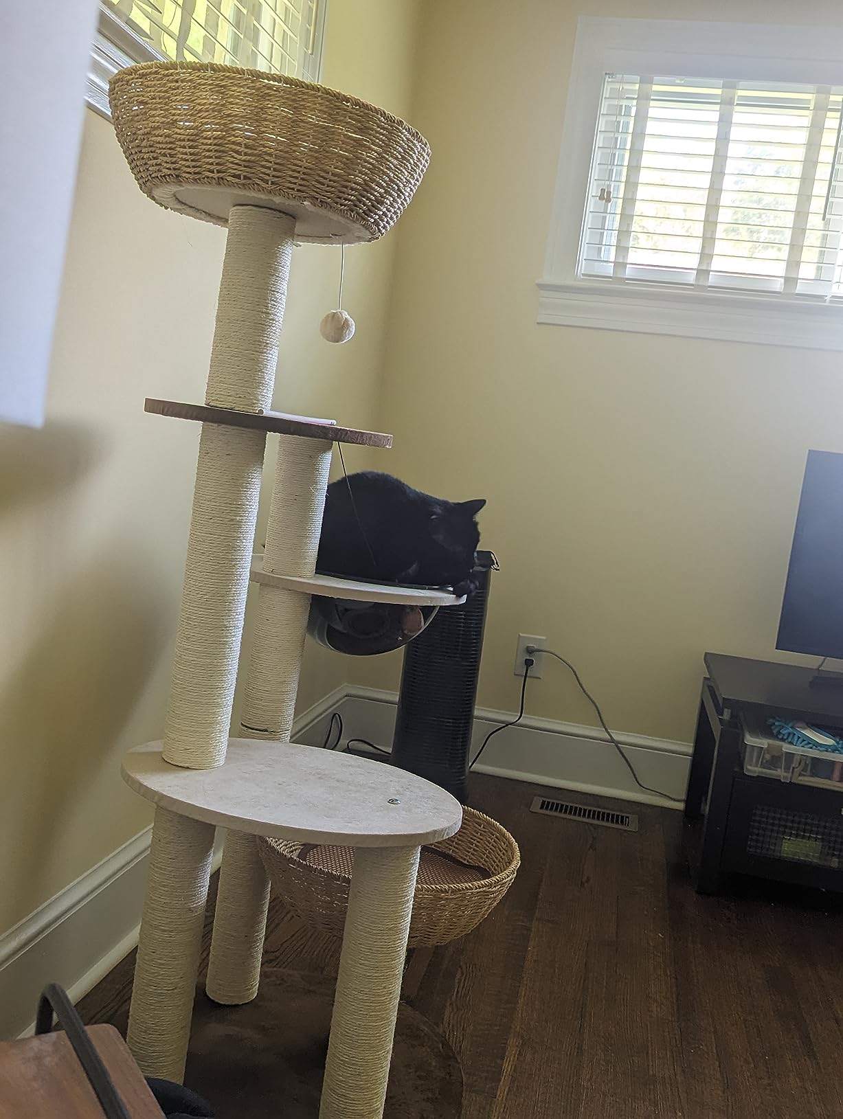 Modern Cat Tree for Indoor Cats, 30 in Cat Tower with Basket Bed customer photo 2