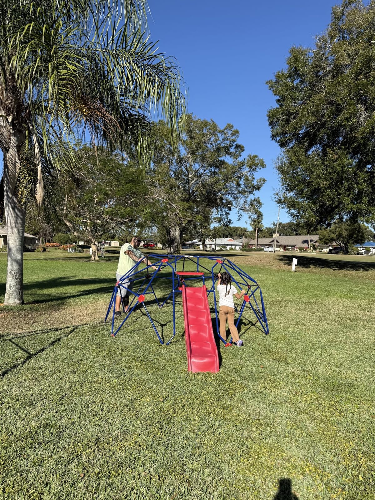 Olakids Climbing Dome with Slide, Kids Outdoor Jungle Gym Geometric Dome Climber, Steel Frame, 8FT Climb Structure Backyard Playground Center Equipment for Toddlers customer photo 2