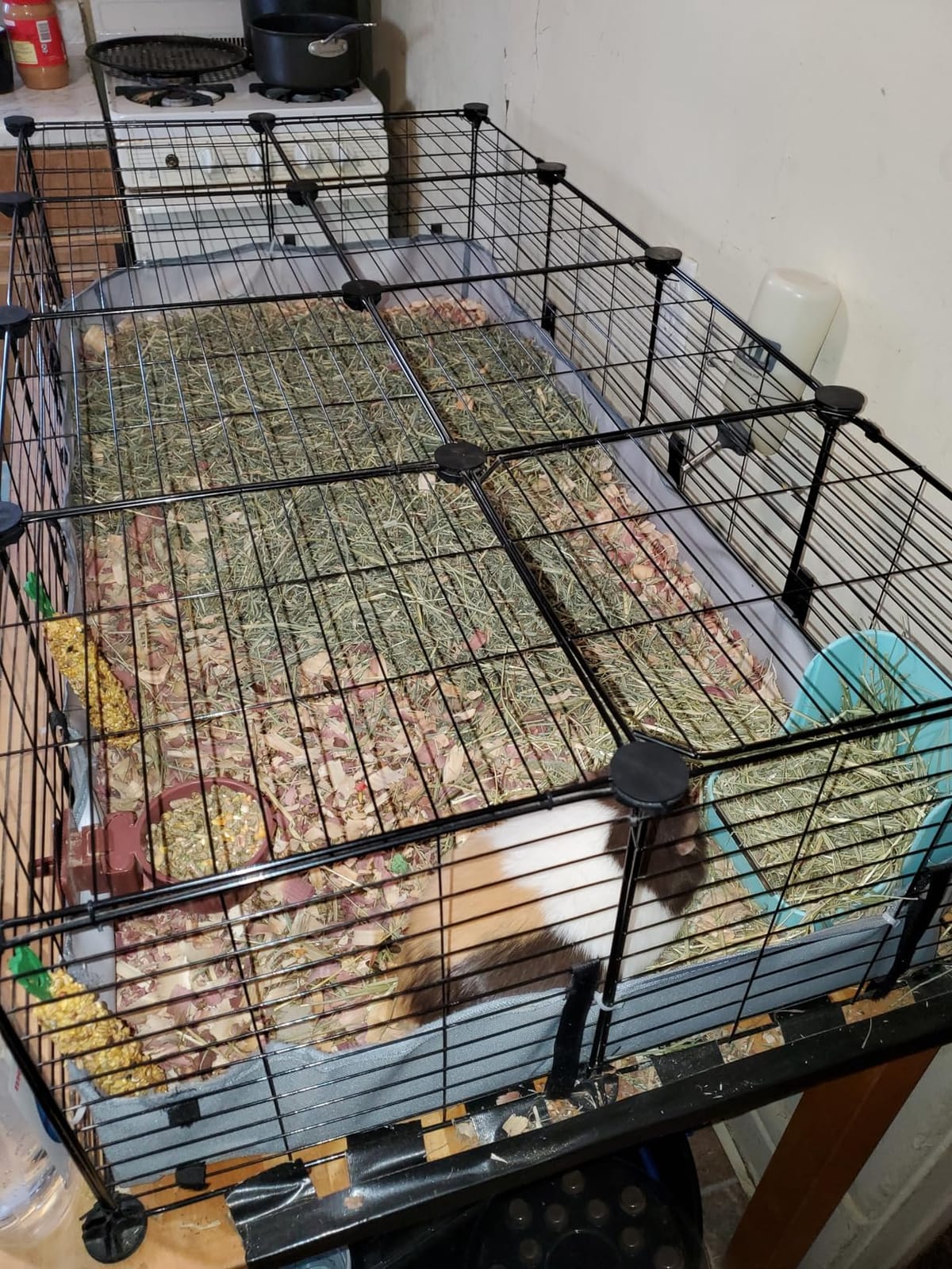 BUCATSTATE Guinea Pig Cages with Floor Mat, 20 Panels Guinea Pigs Playpen with Top Cover, Metal Rabbit Cage Indoor for Hedgehogs, Quail, Chickens (47