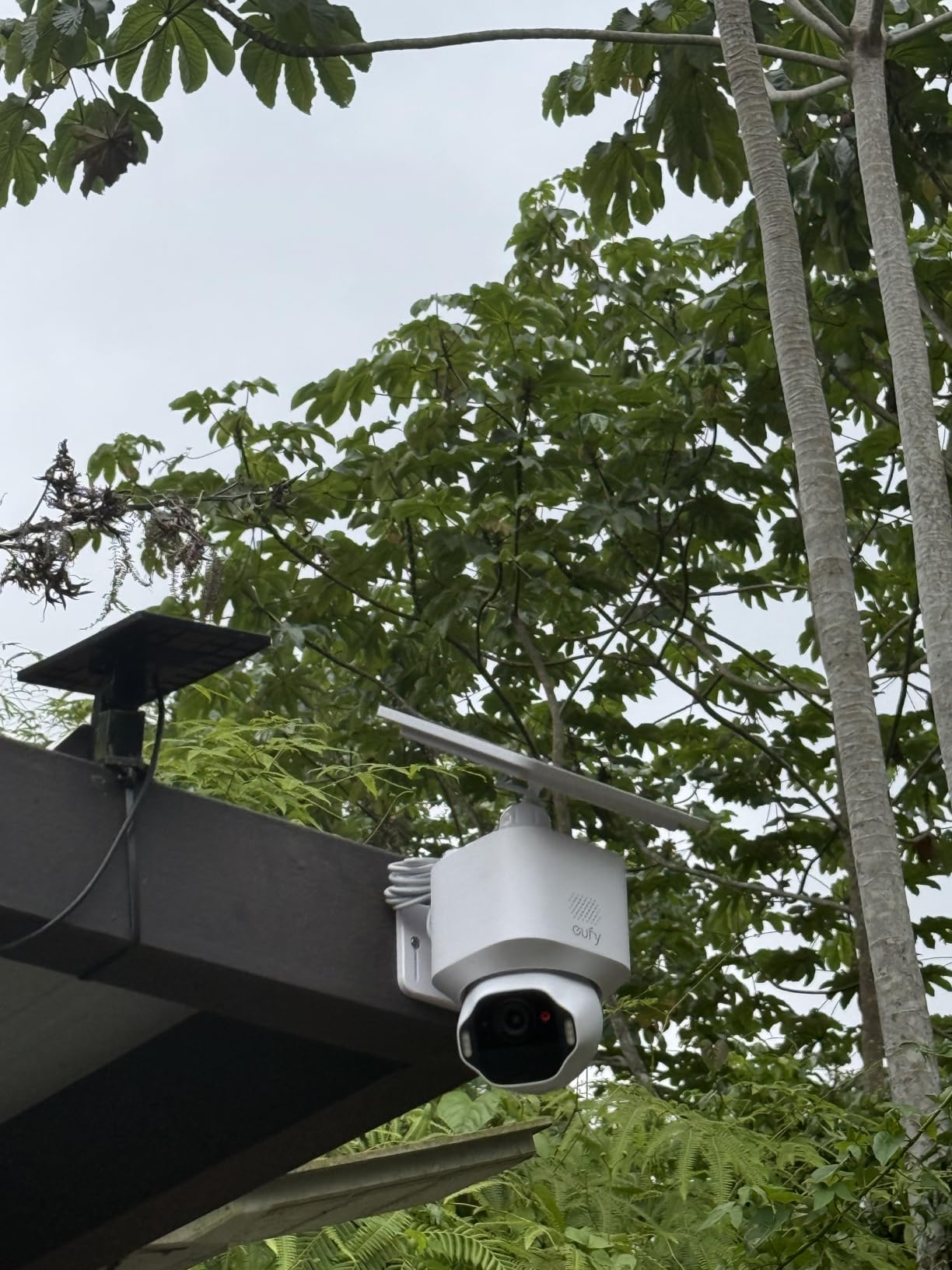 eufy Security SoloCam E42, 2-Cam Kit, 4K Solar Security Camera customer photo 1