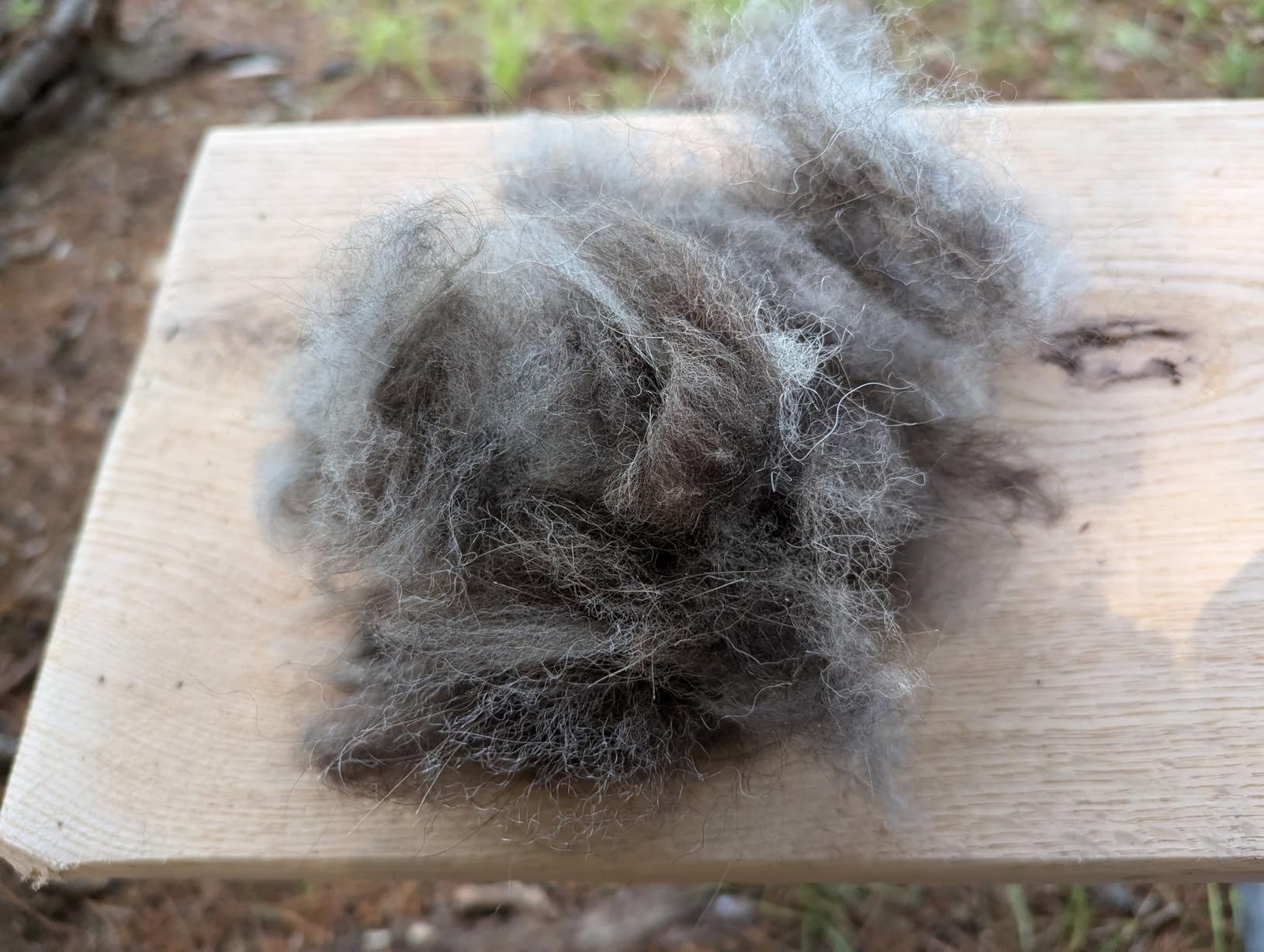 Deshedding Dog Brush for Shedding – Self Clean Cat Brush Deshedding & Grooming Tool for Long Haired and Short Haired Dogs, Slicker Brushes for Dogs, Skin-Friendly, Retractable Bristles, Easy to Clean customer photo 1