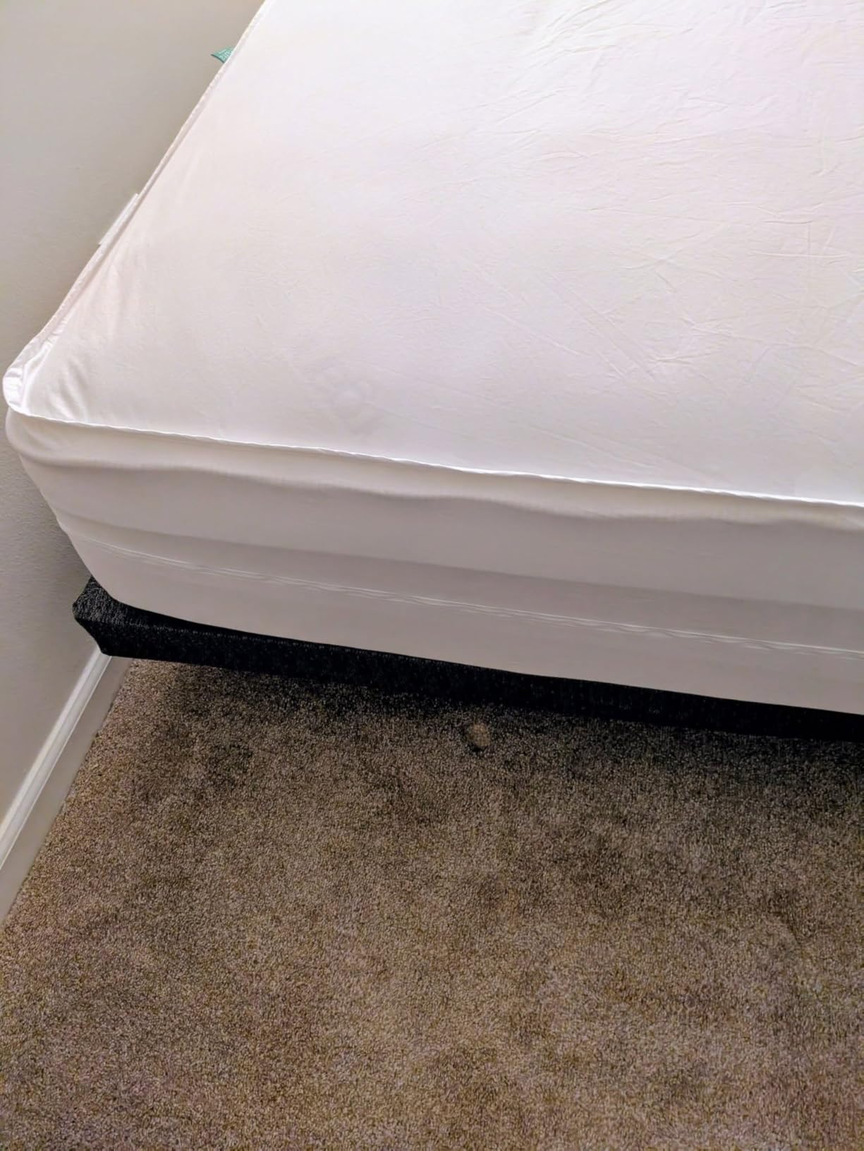 FAUNNA 100% Cotton Bed Bug Dust Mite Mattress Protector Cover Queen 12 Deep customer photo 1
