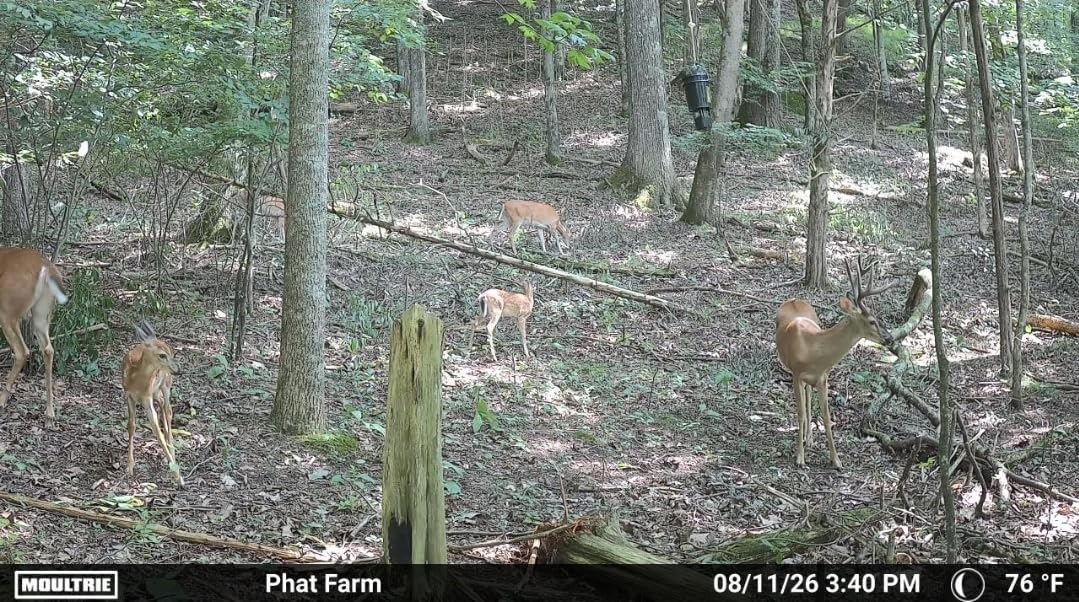 Moultrie Edge 3 Cellular Trail Camera - 40MP, 0.5s Trigger customer photo 2