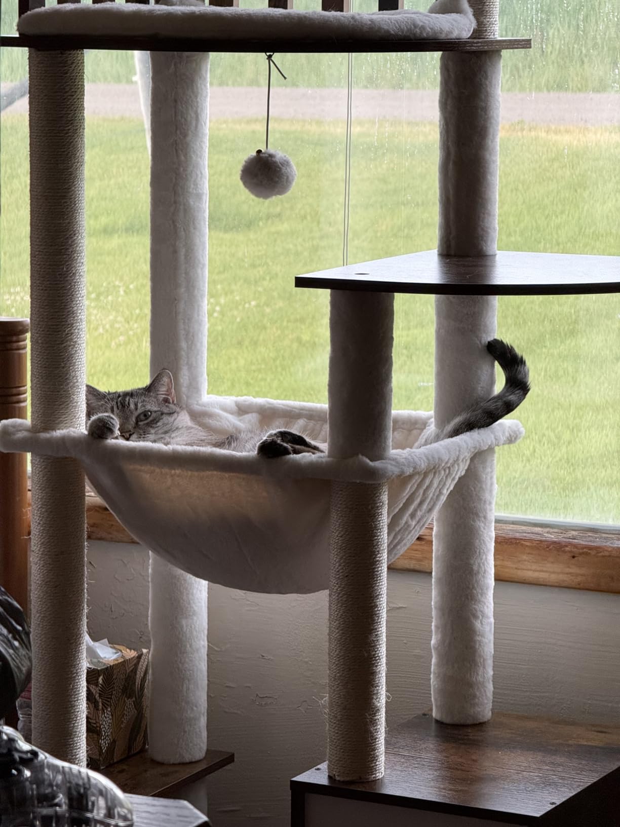 Heybly Cat Tree, 70.5