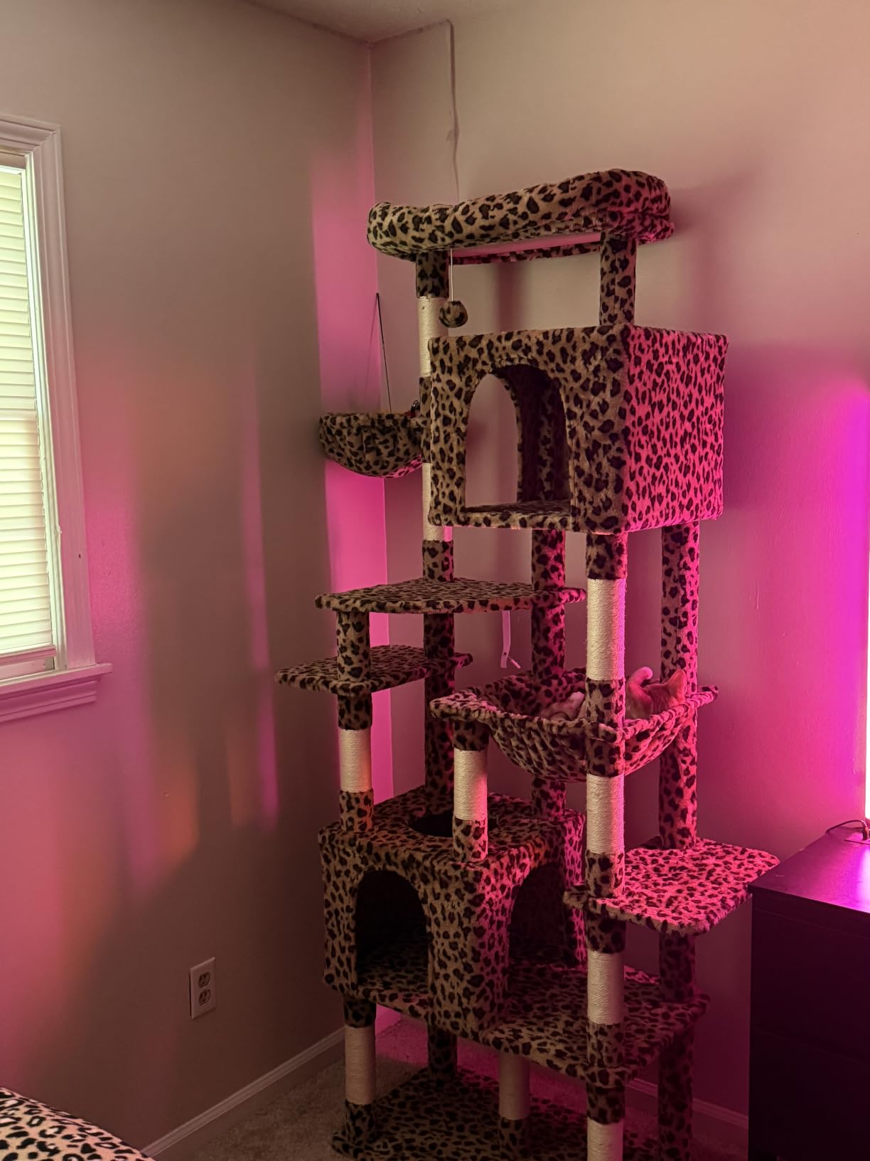 Heybly Cat Tree, 76-Inch Tall Heavy Duty Cat Tower for Big Cats HCT039W customer photo 2