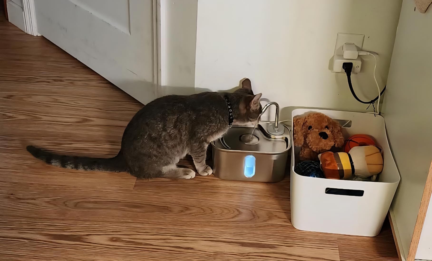 Cat Water Fountain Stainless Steel for Cats Indoor 2.5L 85oz by BPA-Free SUS304, Effective 6-Layer Filter Cat Fountain for Drinking 15dB Ultra Quiet Metal Pet Water Fountain (Fountain+1 Filter) customer photo 1