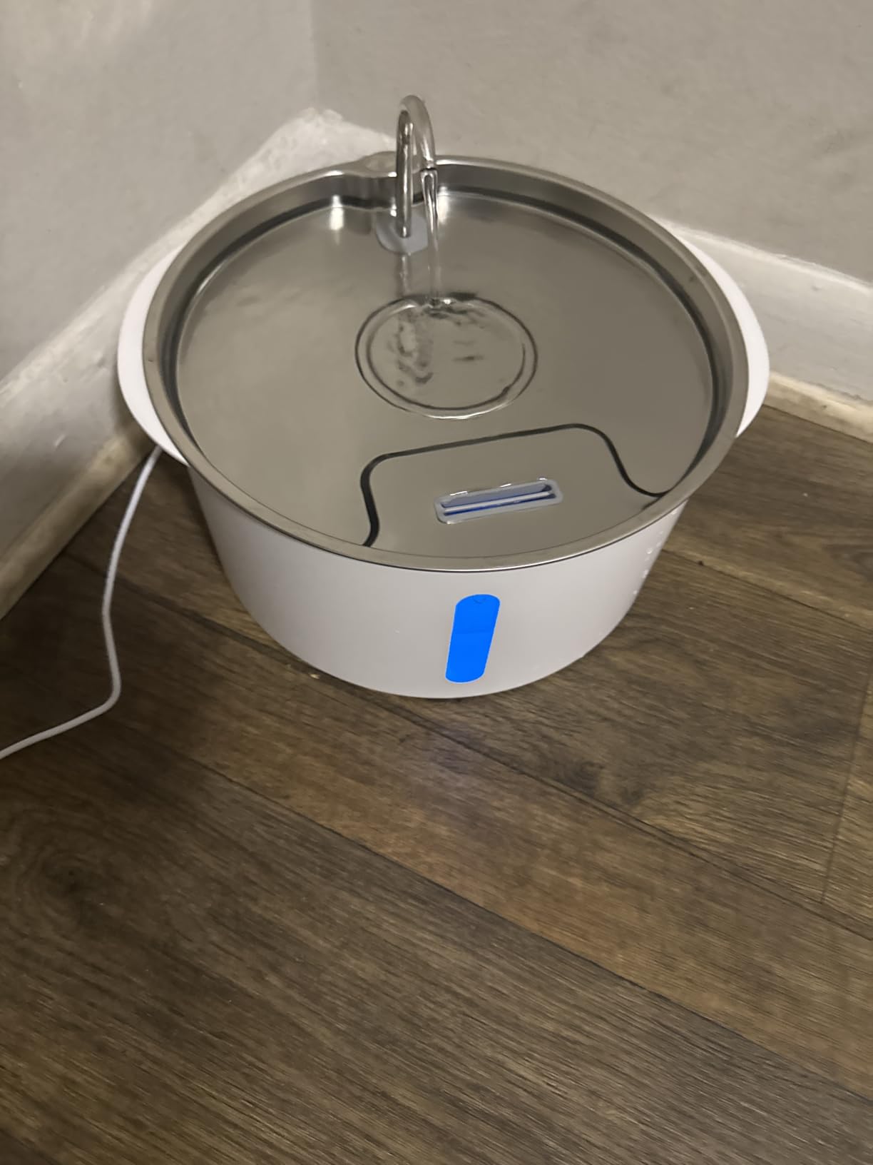 Pektaco Dog Water Fountain for Large Dogs, Stainless Steel Tray, 1 Filter customer photo 1