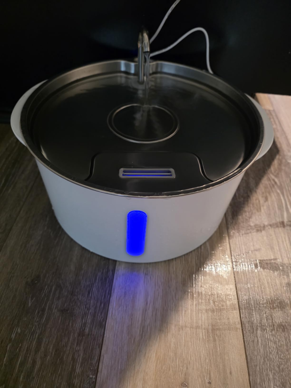 Pektaco Dog Water Fountain for Large Dogs, Stainless Steel Tray, 1 Filter customer photo 2