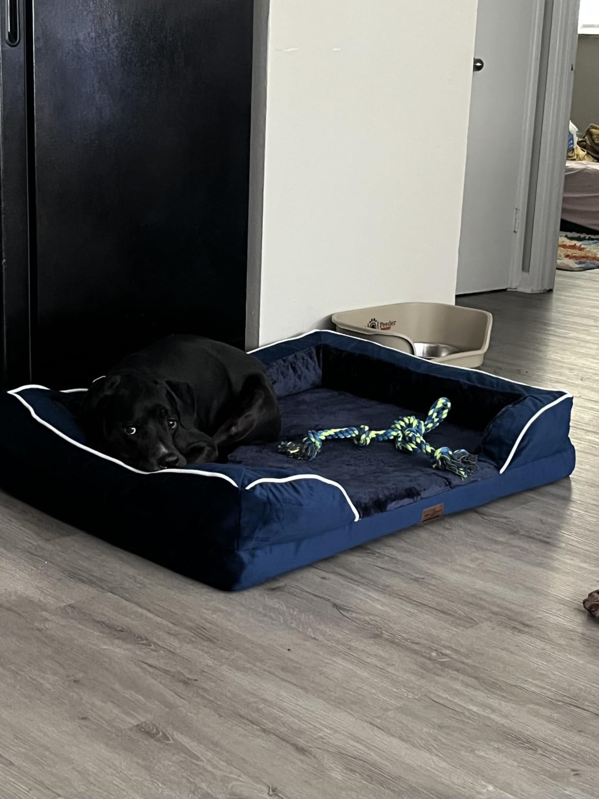 Comfort Expression Orthopedic Dog Bed for Extra Large Dogs with Bolster customer photo 1