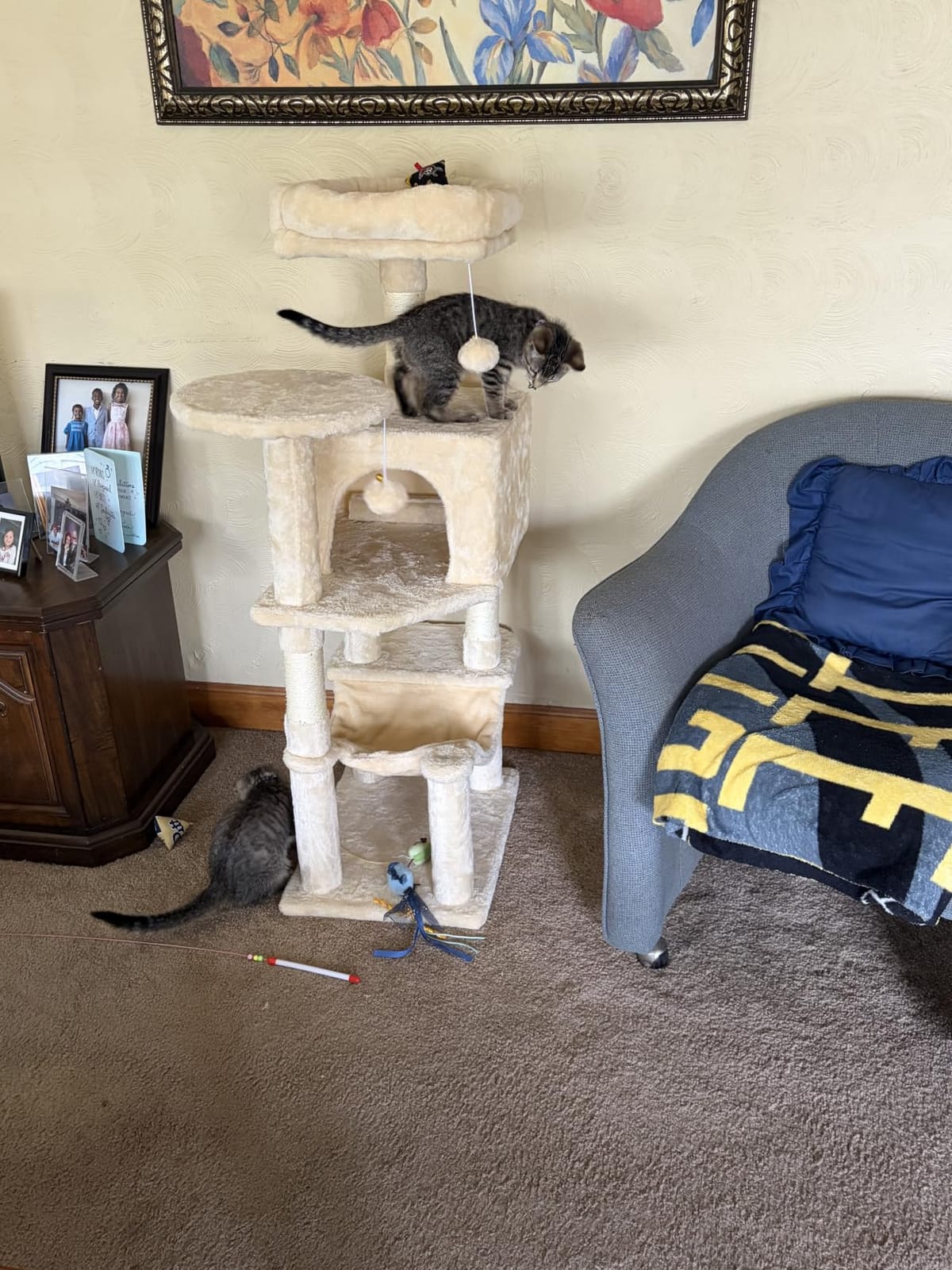 Sweetcrispy 71 Inch Cat Tree Tower with Natural Sisal Scratching Post customer photo 2