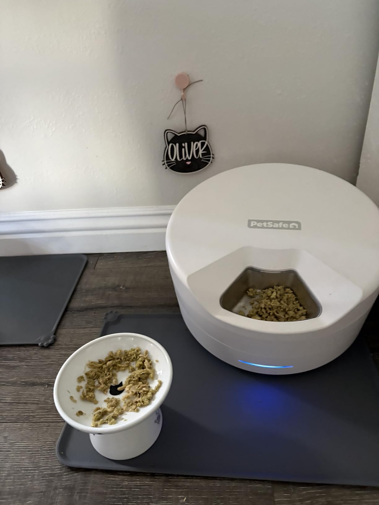 PetSafe FreshFeed Refrigerated Automatic Wet Food Feeder, 6 Meals, Black customer photo 2