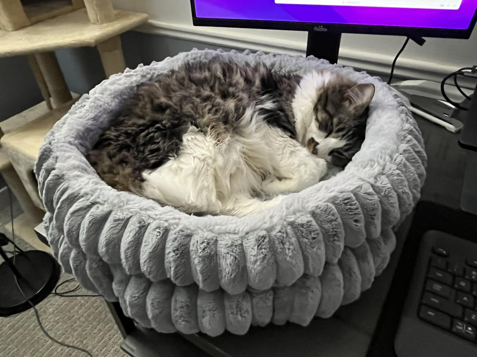 BALANCE Donut Dog Bed, 36 Inches Round Dog Bed Large Size Dogs Washable, Orthopedic Calming Dogs Beds for Kitten, Fluffy Plush Faux Fur Pet Bed with Anti-Slip Bottom customer photo 1