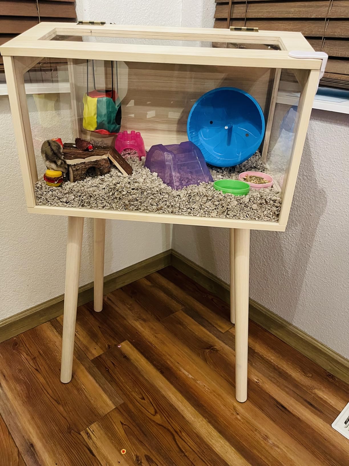 PROLEE Hamster Cage Wooden Chew Proof, Extra Large Mice and Rat Habitat Openable Top with Acrylic Sheets Solid Built Small Animal Cage with Leg Stands, 32 Inch Long customer photo 1