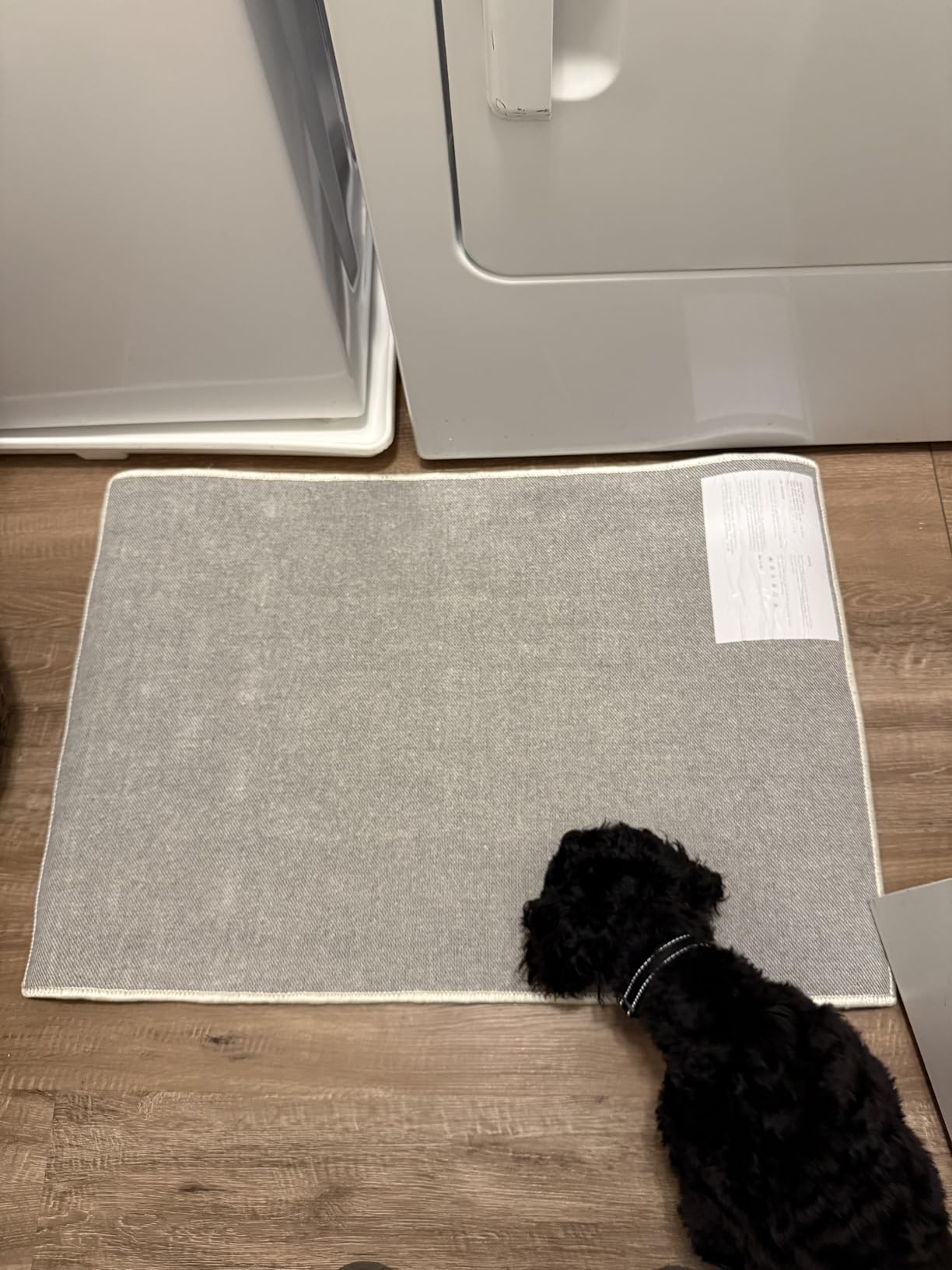 ANSSO Wool Rugs 8x10 for Living Room,80% Merino Wool and 20% Cotton Soft Tufted Area Rug with Cotton Non-Slip Backing,Large Area Rug for Bedroom Bedroom, Dining and Home Office (Beige Cream) customer photo 2