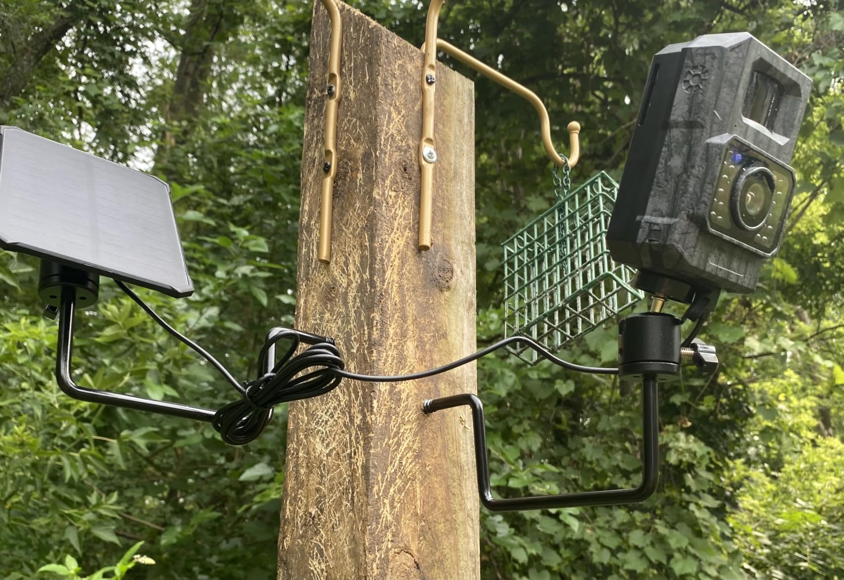 Zleo Lifetime Data-Free Trail Camera with Cellular Service, No Monthly Fees customer photo 2