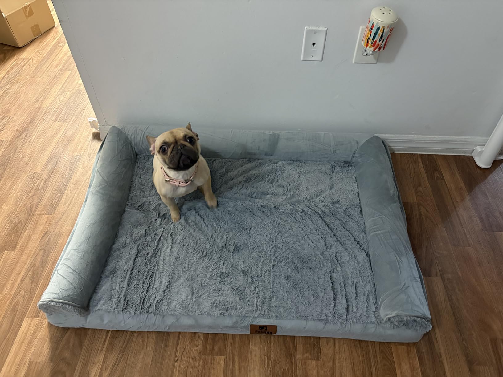 Sytopia Indestructible Dog Beds for Large Dogs Orthopedic, 42 Inch Chew Proof Pet Beds Extra Large, Washable Removable Cover and Anti-Slip Bottom - X-Large, Grey customer photo 2