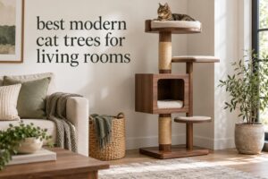 best modern cat trees for living rooms