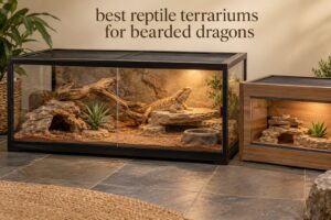 best reptile terrariums for bearded dragons