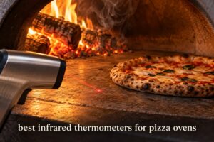 best infrared thermometers for pizza ovens