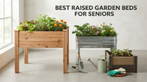 best raised garden beds for seniors