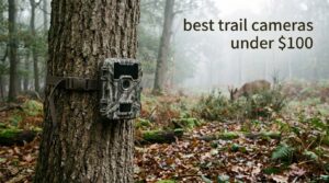 best trail cameras under $100