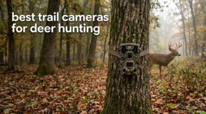 best trail cameras for deer hunting