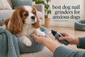 best dog nail grinders for anxious dogs