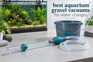 best aquarium gravel vacuums for water changes