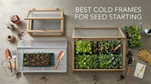 best cold frames for seed starting