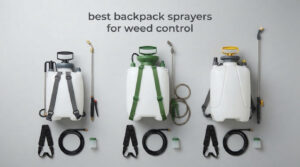 best backpack sprayers for weed control
