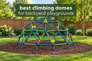 best climbing domes for backyard playgrounds